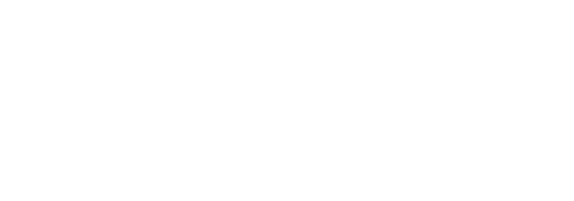Nexus Adiestramiento